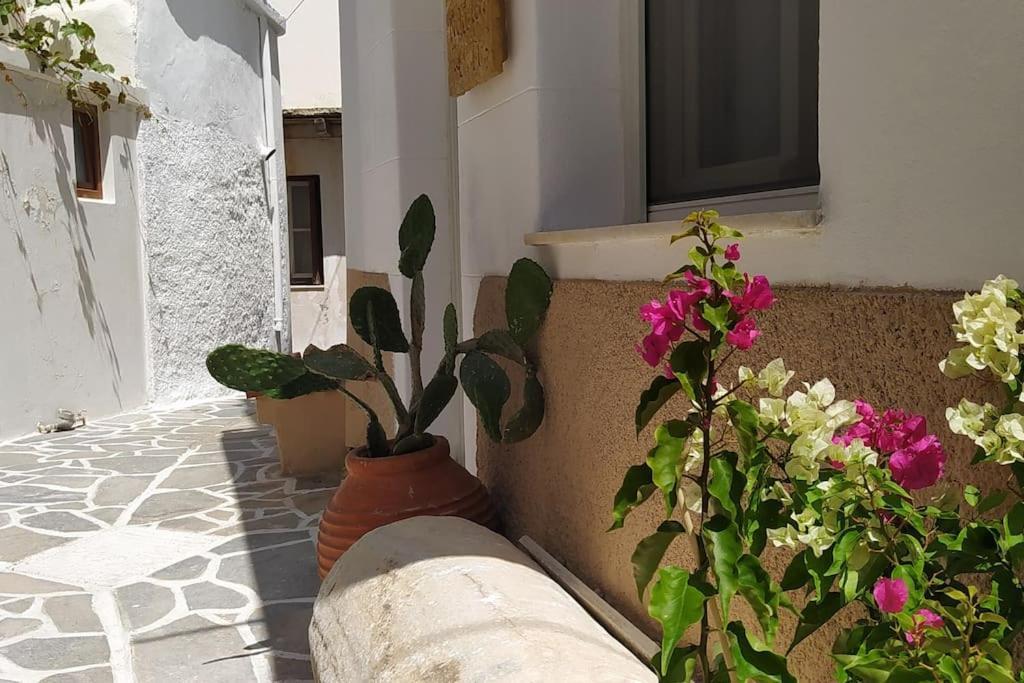 Naxion Esti - Διαμονή Στην Παλιά Χώρα Της Νάξου Villa Naxos City Buitenkant foto