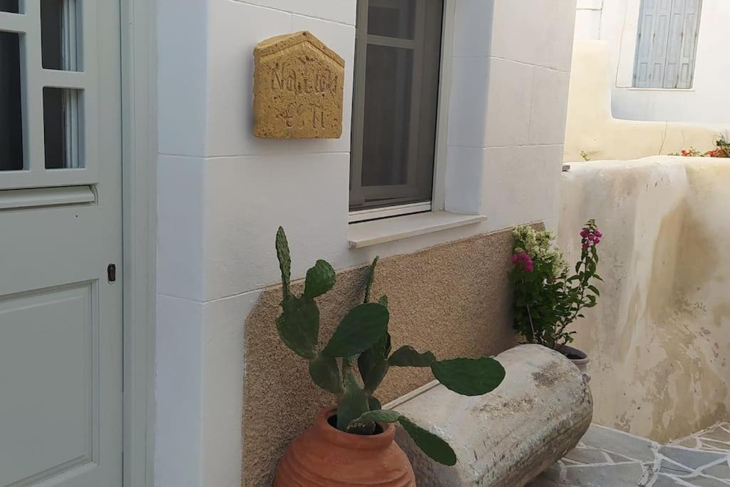 Naxion Esti - Διαμονή Στην Παλιά Χώρα Της Νάξου Villa Naxos City Buitenkant foto
